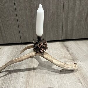 Rustic Pinecone Candle Holder, on deer horn shed